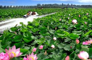 &#21338;&#40060;&#32593;&#39029;&#29256;&#30331;&#20837;&#30028;&#38754;&#45;&#21338;&#40060;&#40;&#20013;&#22269;&#41;